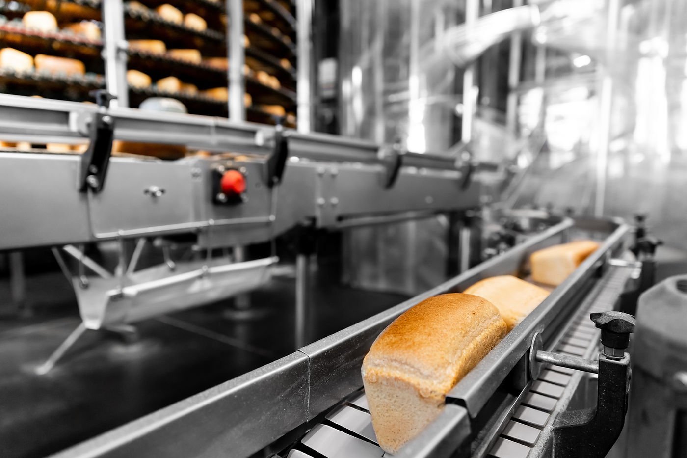 Food production plant equipment